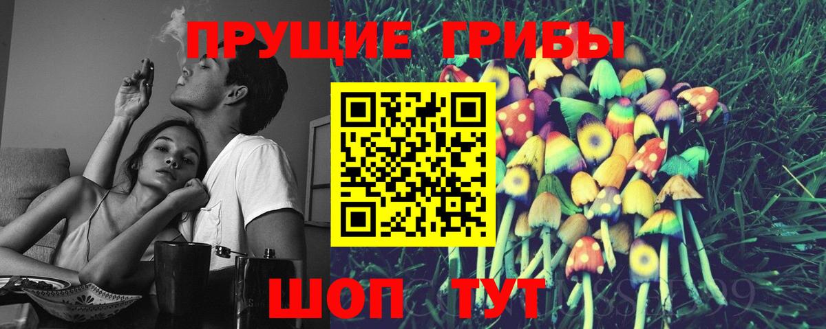 Псилоцибиновые грибы GOLDEN TEACHER Тихвин