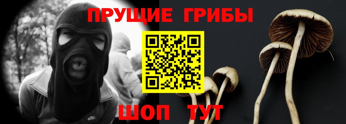 Тихвин  Галлюциногенные грибы Psilocybine cubensis  Вход с VPN 